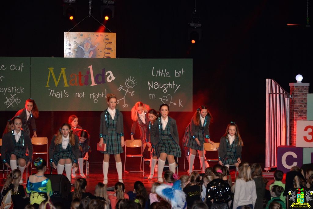 ../Images/Dansmarieke festival 2018 399.jpg